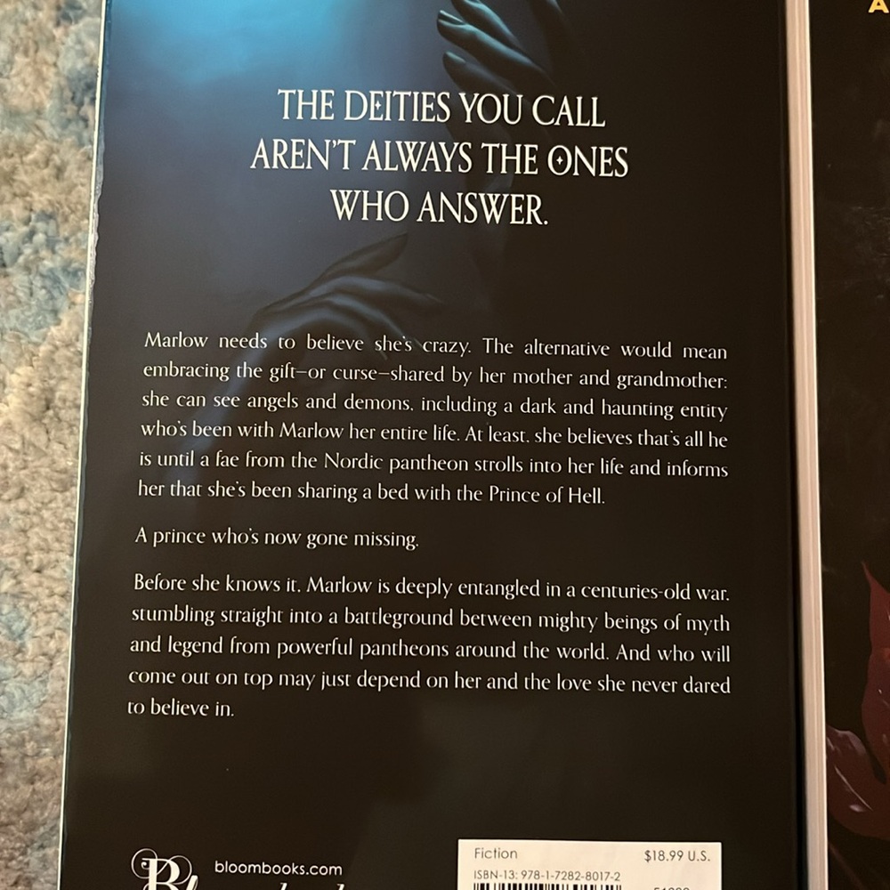 FANTASY ROMANTASY BOOKS NEW - Picture 2 of 3